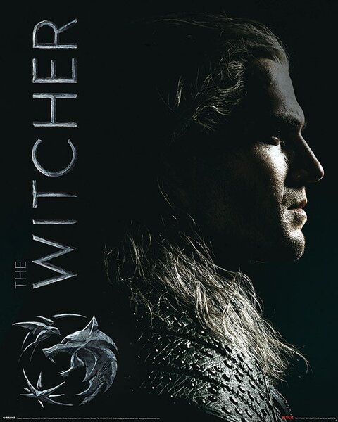Poster, Affisch The Witcher - Shadows Embrace