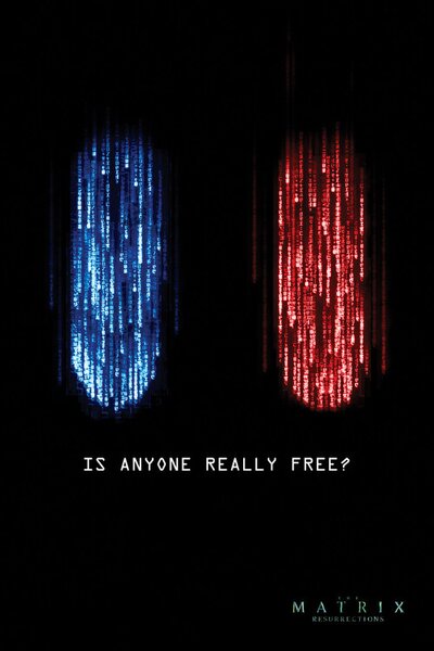 Poster, Affisch Matrix - Is anyone really free?, (80 x 120 cm)