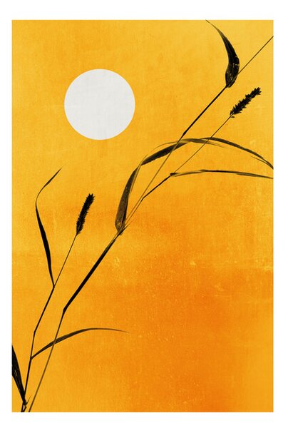 Poster, Affisch Kubistika - Sunny days, (40 x 60 cm)