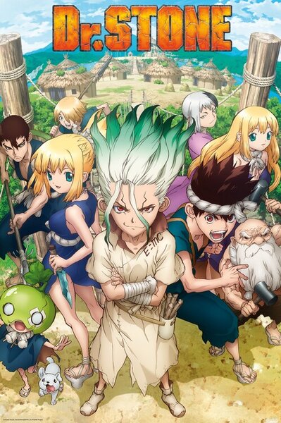 Poster, Affisch DR. Stone - Group