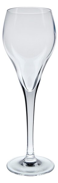 BRIO Champagneglas 16 cl