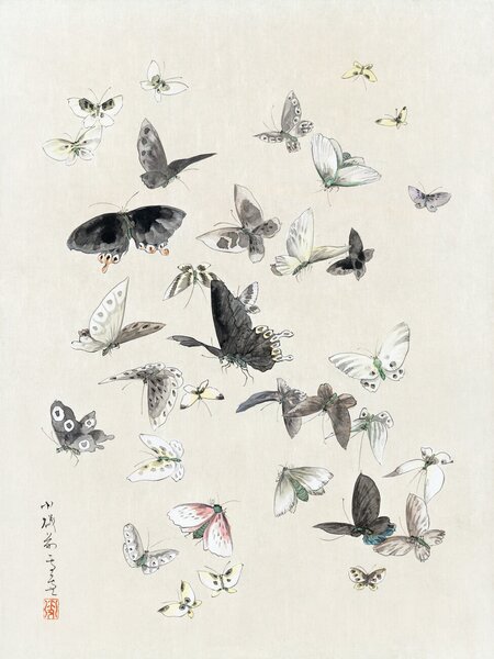Konsttryck Butterflies & Moths (1 of 2) - Katsushika Hokusai, (30 x 40 cm)