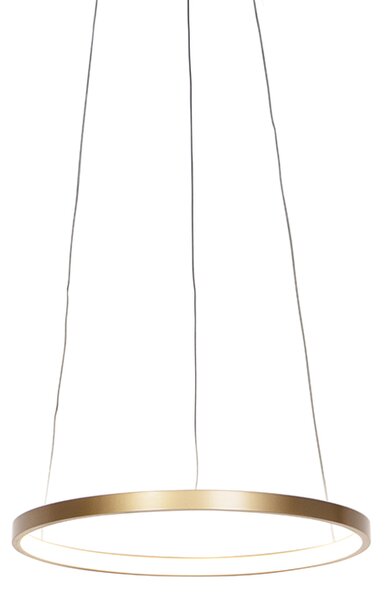 Modern ringhängande lampa guld 40 cm inkl LED - Anella