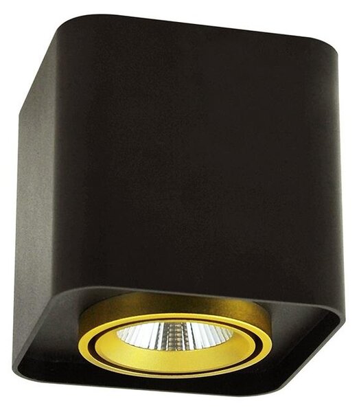 LED Spotlight XENO LED/15W/230V svart 1200lm