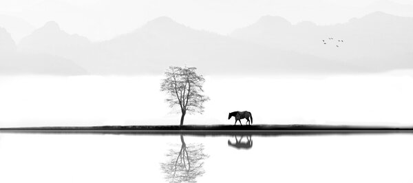 Fotografi Quiet Moment, Ivan Huang, (40 x 30 cm)