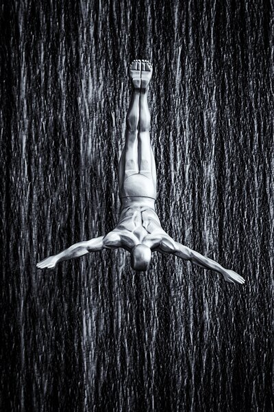 Konstfotografering fine diving, Martin Fleckenstein, (26.7 x 40 cm)