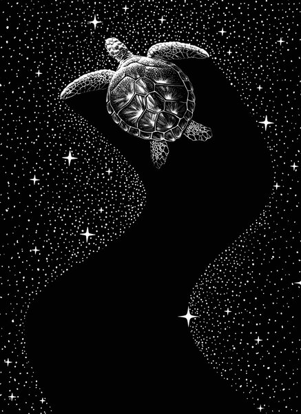 Illustration Starry Turtle, Aliriza Cakir, (30 x 40 cm)