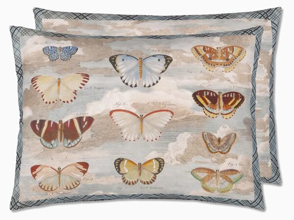 Kudde Butterfly studies 45x60 cm