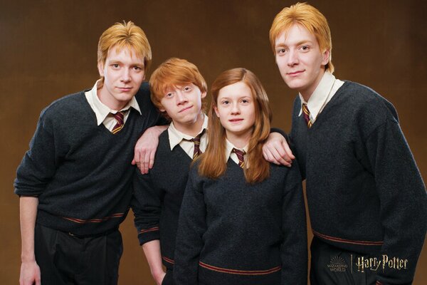 Konsttryck Harry Potter - Weasley family, (40 x 26.7 cm)