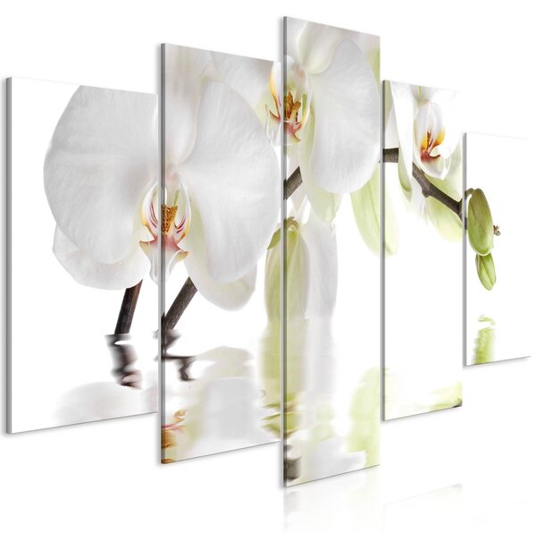 Canvas Tavla - Wonderful Orchid (5 delar) Wide - 200x100