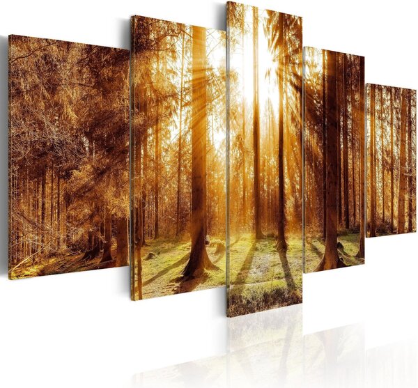 Canvas Tavla - Forest Illumination - 100x50