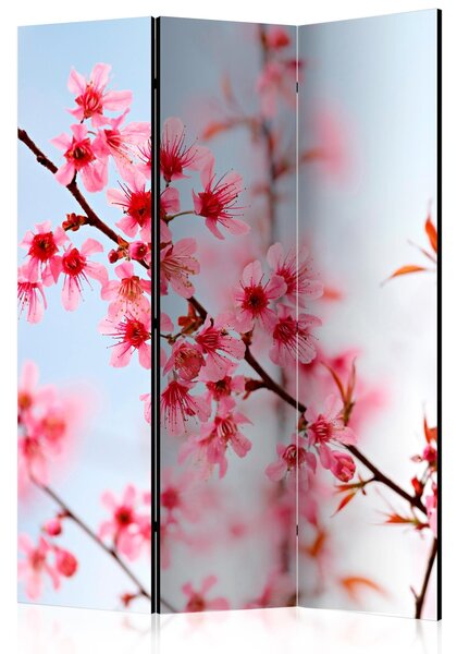 Rumsavdelare / Skärmvägg - Symbol of Japan - sakura flowers - 135x172