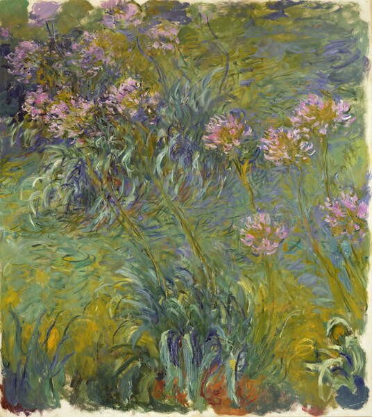 Claude Monet - Konsttryck Agapanthus, 1914-26, (35 x 40 cm)