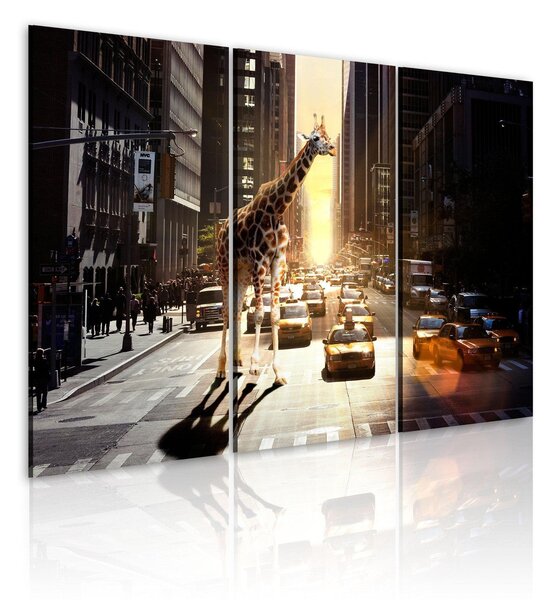 Canvas Tavla - Giraff i den stora staden - 60x40