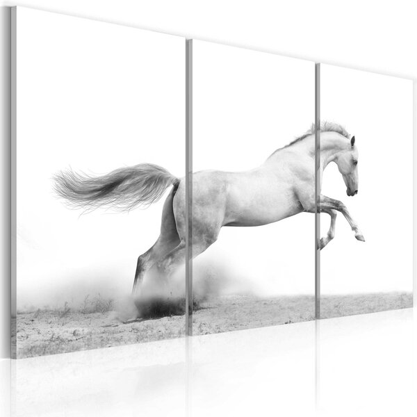 Canvas Tavla - A galloping horse - 60x40