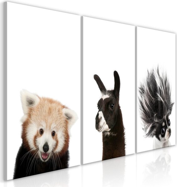 Canvas Tavla - Friendly Animals (Collection) - 120x60