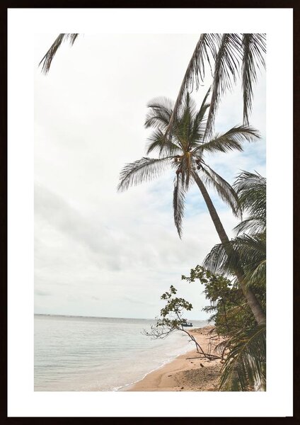 Palm Tree On Beach Poster