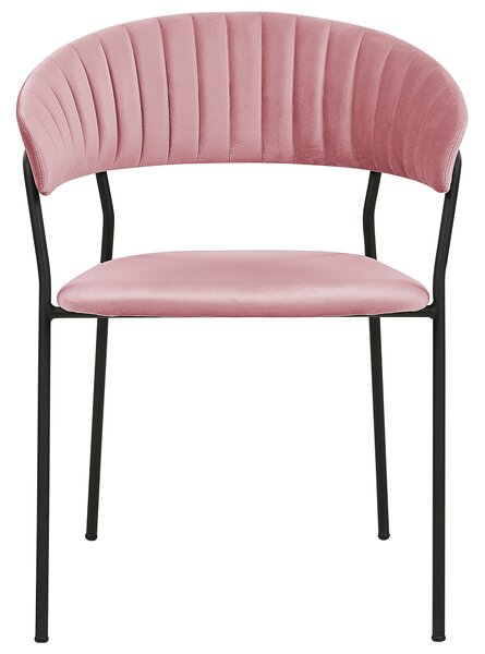 Uppsättning med 2 matstolar Klädsel i Rosa sammet Svarta metallben med armstöd Böjt ryggstöd Modern och samtida design Beliani