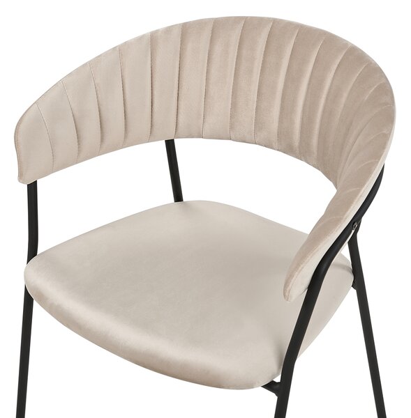 Uppsättning med 2 matstolar Taupe sammet tygklädsel Svarta metallben med armstöd Böjt ryggstöd Modern modern design Beliani