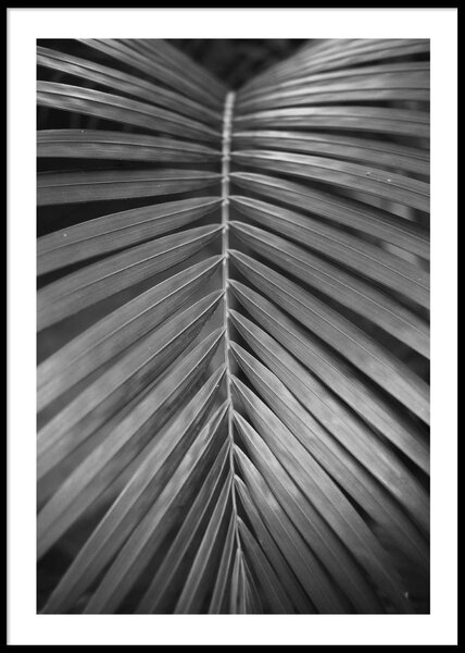 TROPICAL 1 POSTER - 50x70