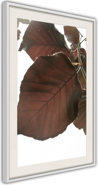 Inramad Poster / Tavla - Burgundy Tilia Leaf - 30x45 Vit ram med passepartout