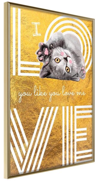Inramad Poster / Tavla - Cat Love - 20x30 Guldram