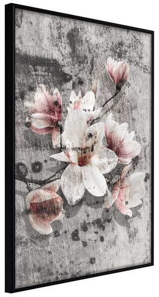 Inramad Poster / Tavla - Flowers on Concrete - 20x30 Svart ram