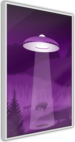Inramad Poster / Tavla - Flying Saucer - 40x60 Vit ram