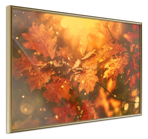 Inramad Poster / Tavla - Golden Autumn - 30x20 Guldram
