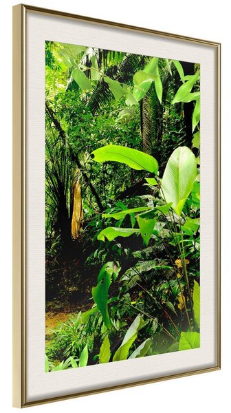 Inramad Poster / Tavla - In the Rainforest - 20x30 Guldram med passepartout