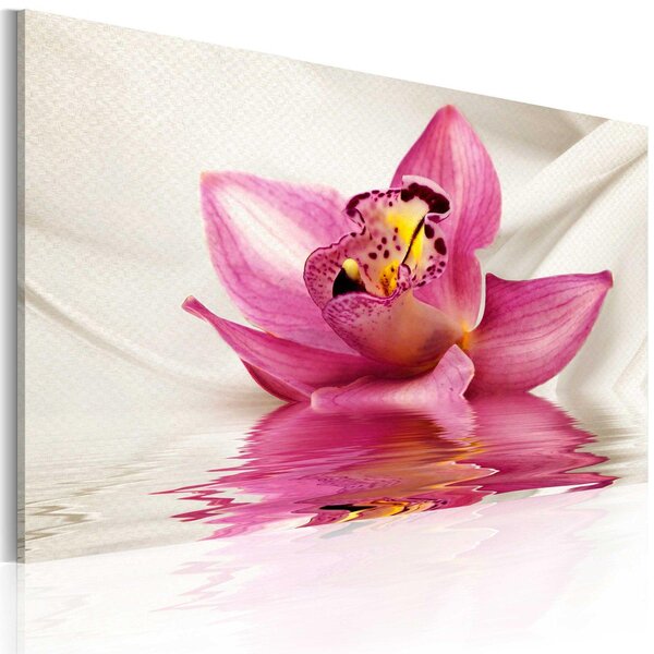 Canvas Tavla - Unusual orchid - 60x40