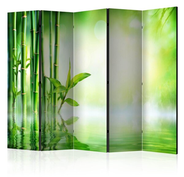 Rumsavdelare / Skärmvägg - Green Bamboo II - 225x172