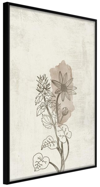 Inramad Poster / Tavla - Life of Plants - 20x30 Svart ram