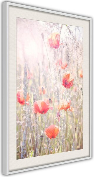 Inramad Poster / Tavla - Poppies - 40x60 Vit ram med passepartout