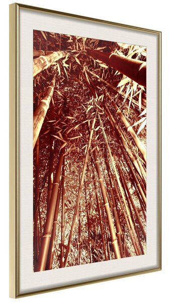 Inramad Poster / Tavla - Asian Forest - 20x30 Guldram med passepartout