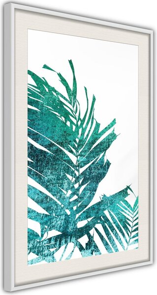 Inramad Poster / Tavla - Teal Palm on White Background - 40x60 Vit ram med passepartout