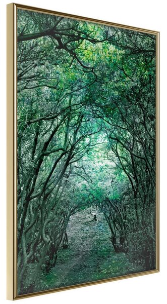 Inramad Poster / Tavla - Tree Tunnel - 20x30 Guldram