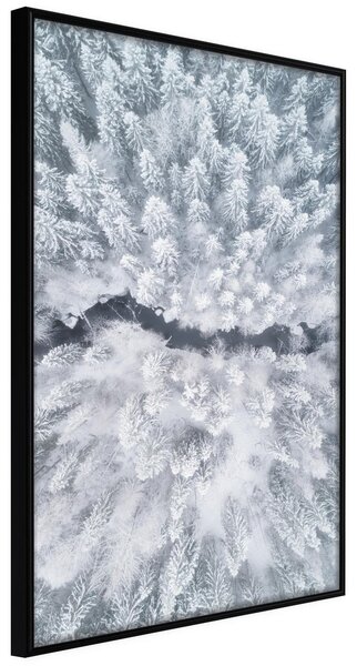 Inramad Poster / Tavla - Winter Forest From a Bird's Eye View - 30x45 Svart ram