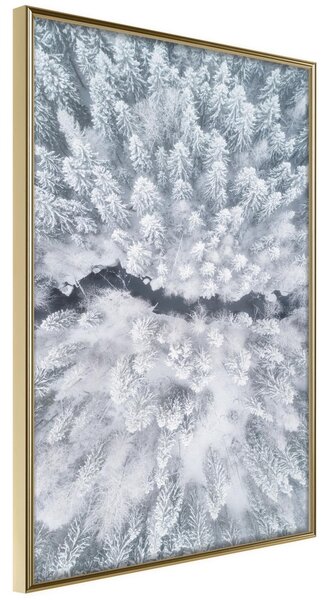 Inramad Poster / Tavla - Winter Forest From a Bird's Eye View - 30x45 Guldram