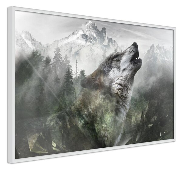 Inramad Poster / Tavla - Wolf's Territory - 30x20 Vit ram