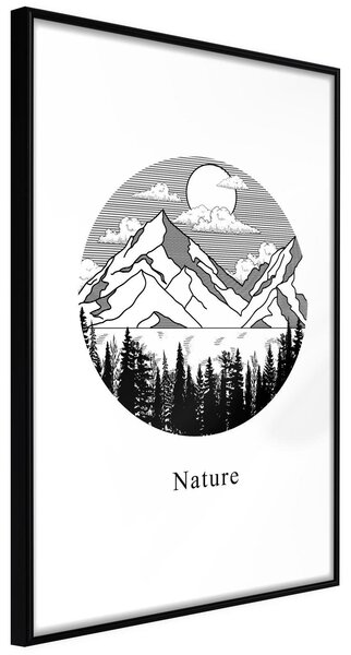 Inramad Poster / Tavla - Wonders of Nature - 20x30 Svart ram