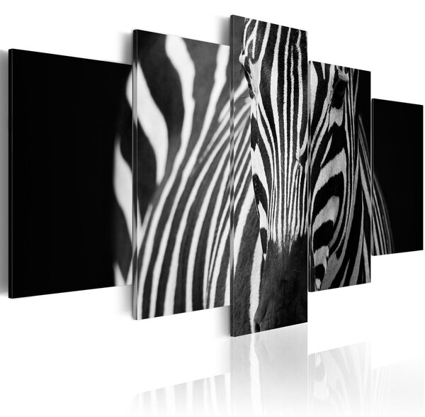 Canvas Tavla - Zebra look - 100x50