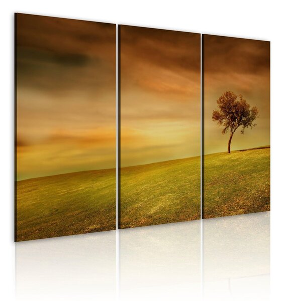 Canvas Tavla - A lonely tree on a meadow - 60x40