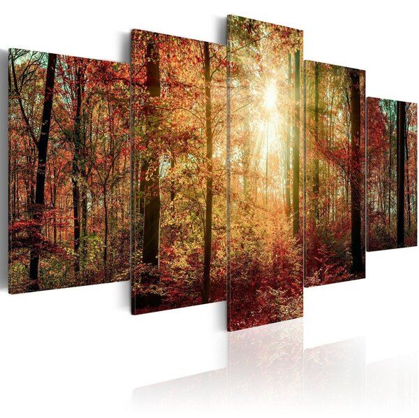 Canvas Tavla - Autumn Wilderness - 100x50