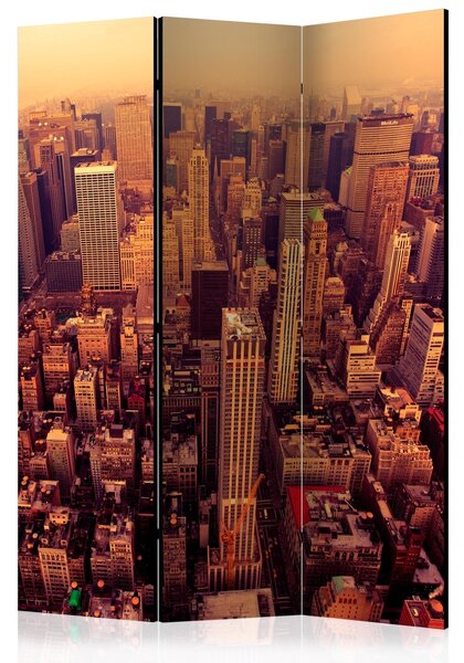 Rumsavdelare / Skärmvägg - Bird Eye View Of Manhattan, New York - 135x172