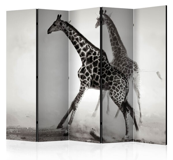 Rumsavdelare / Skärmvägg - Giraffes II - 225x172