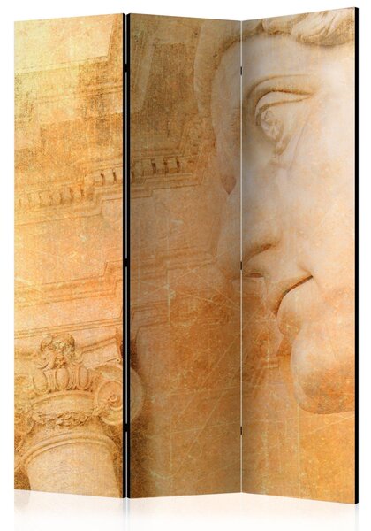Rumsavdelare / Skärmvägg - Greek God - 135x172