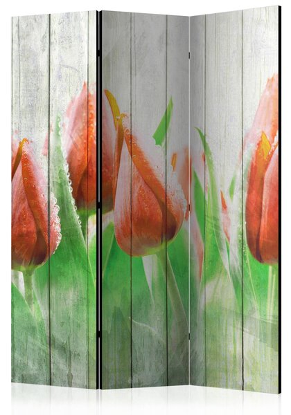 Rumsavdelare / Skärmvägg - Red tulips on wood - 135x172