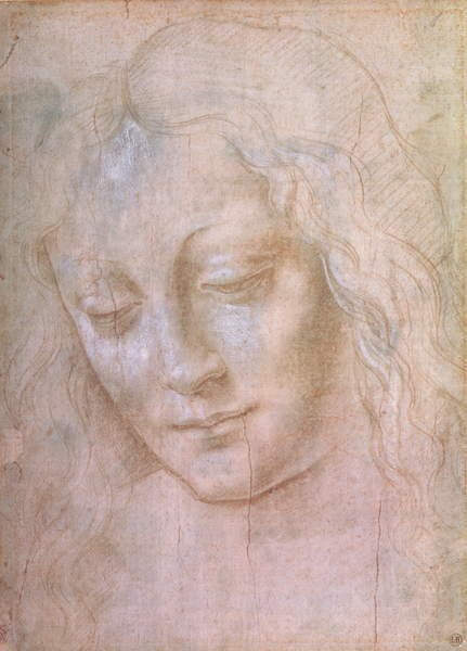 Leonardo da (school of) Vinci - Konsttryck Leonardo da Vinci - Head of a Young Woman, (30 x 40 cm)