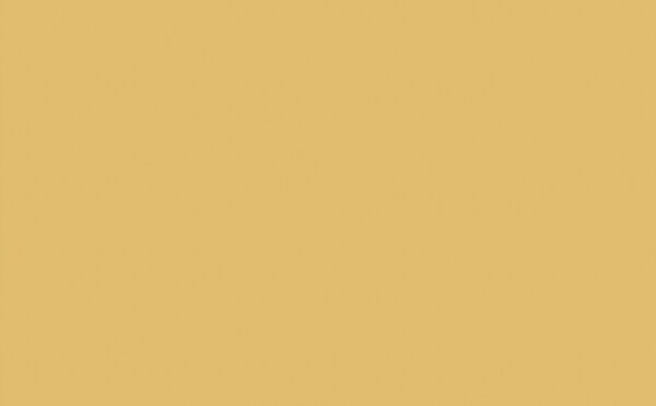 Light Gold - Absolute Matt Emulsion - 1 L